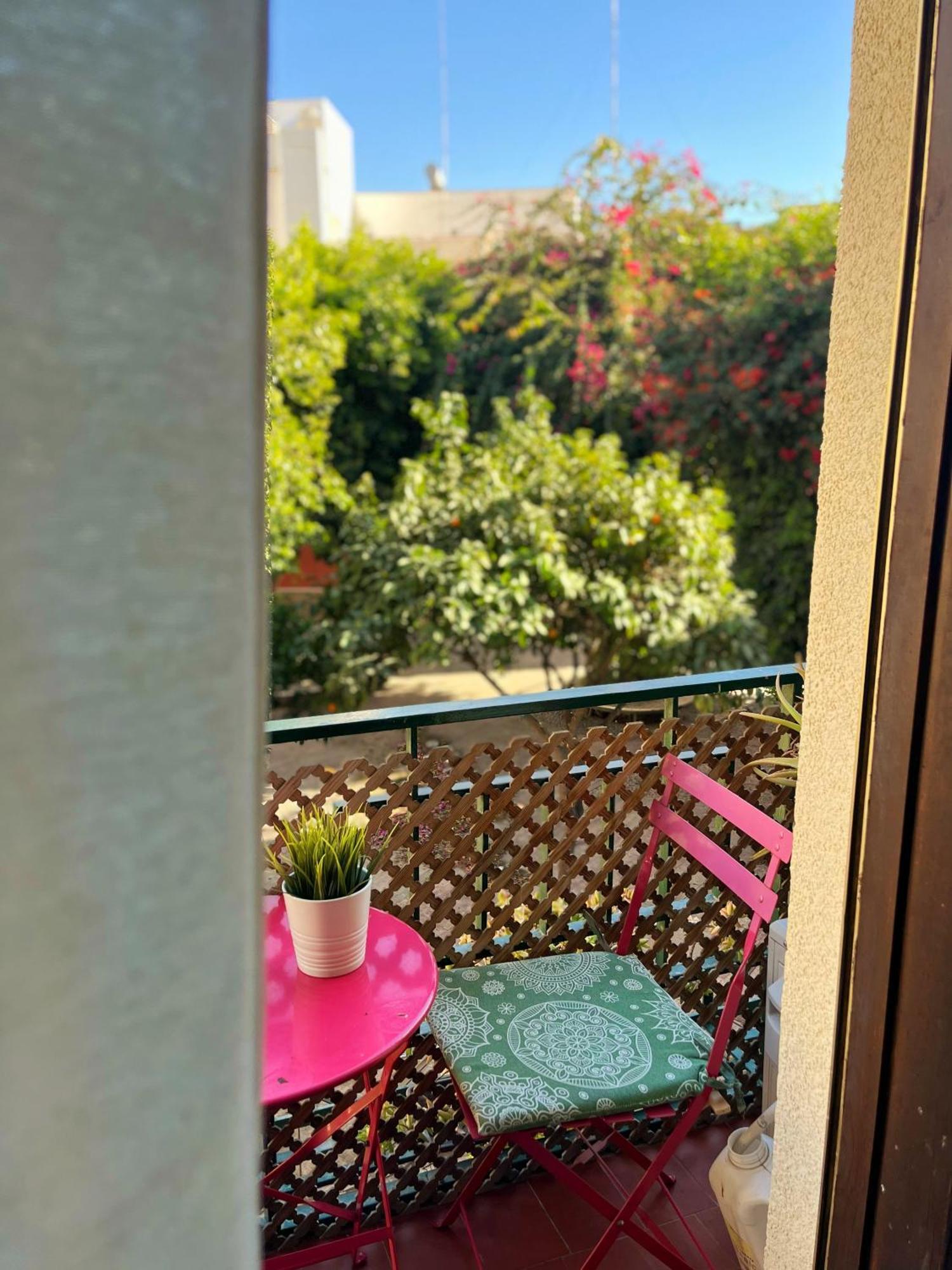 La Pita Guesthouse Almería Extérieur photo